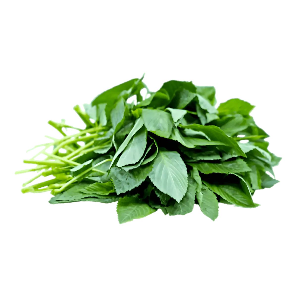 Feuille de jute comestible fraîche, appelée lalo ou ademe, idéale pour soupes africaines. Légume-feuille riche en nutriments et fibres.